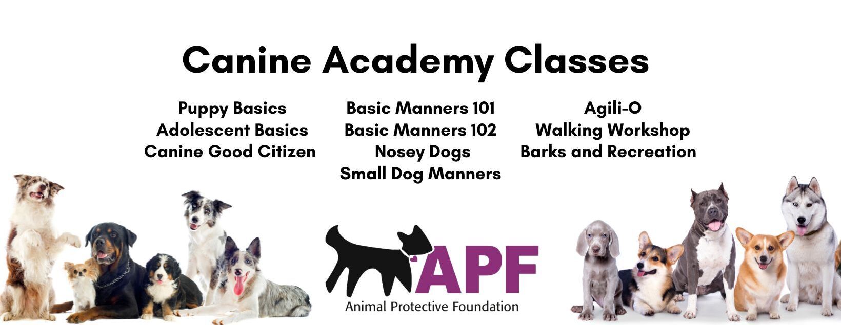 Canine Academy